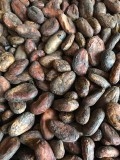 Какао-бобы Nacional Maranion